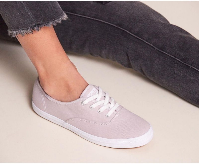 Keds x Organic Baumwoll Champion Sneakers Damen Lila | WZM516089